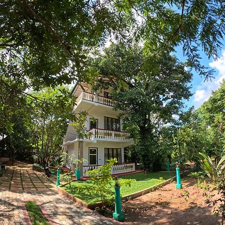 Spice Village Hotel & Restaurant Habarana Ngoại thất bức ảnh