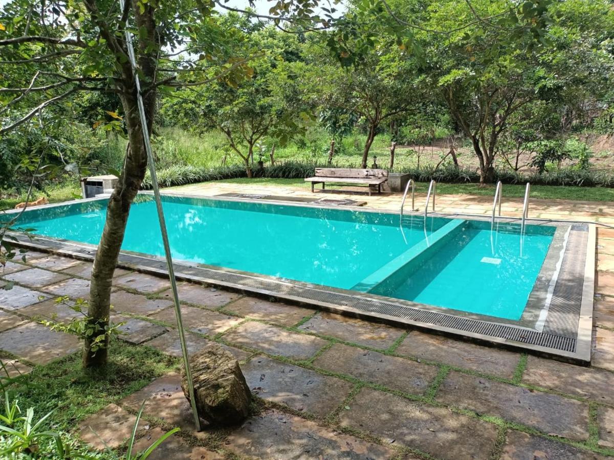 Spice Village Hotel & Restaurant Habarana Ngoại thất bức ảnh